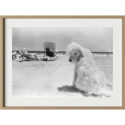 Lois At The Beach by Barbara Alper by Four Hands. Made from unique in a unique style.
