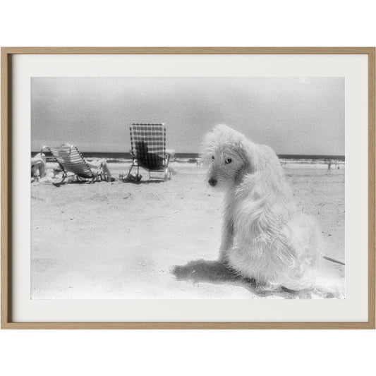 Lois At The Beach by Barbara Alper by Four Hands. Made from unique in a unique style.