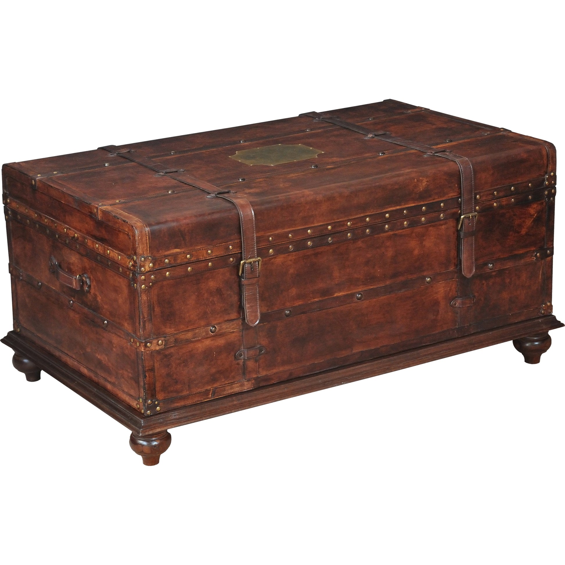 Laramie Trunk Coffee Table by Sarreid Ltd. in brown and wood iron brass. Made from wood, leather, iron in a cottage & farmhouse style.