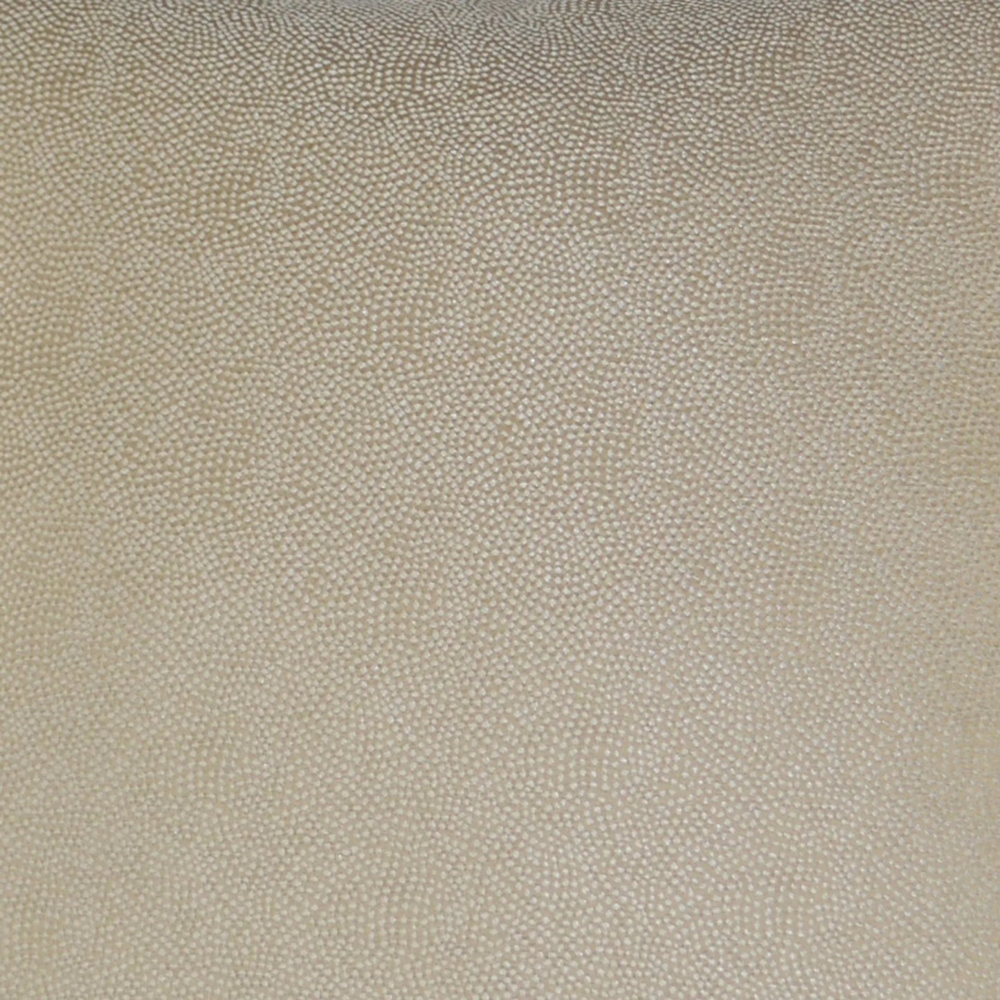 002 SI-2382597 | Closeup | Whimsical Pillow by DV Kap Home in ivory. Made from 100% polyester in a transitional style.