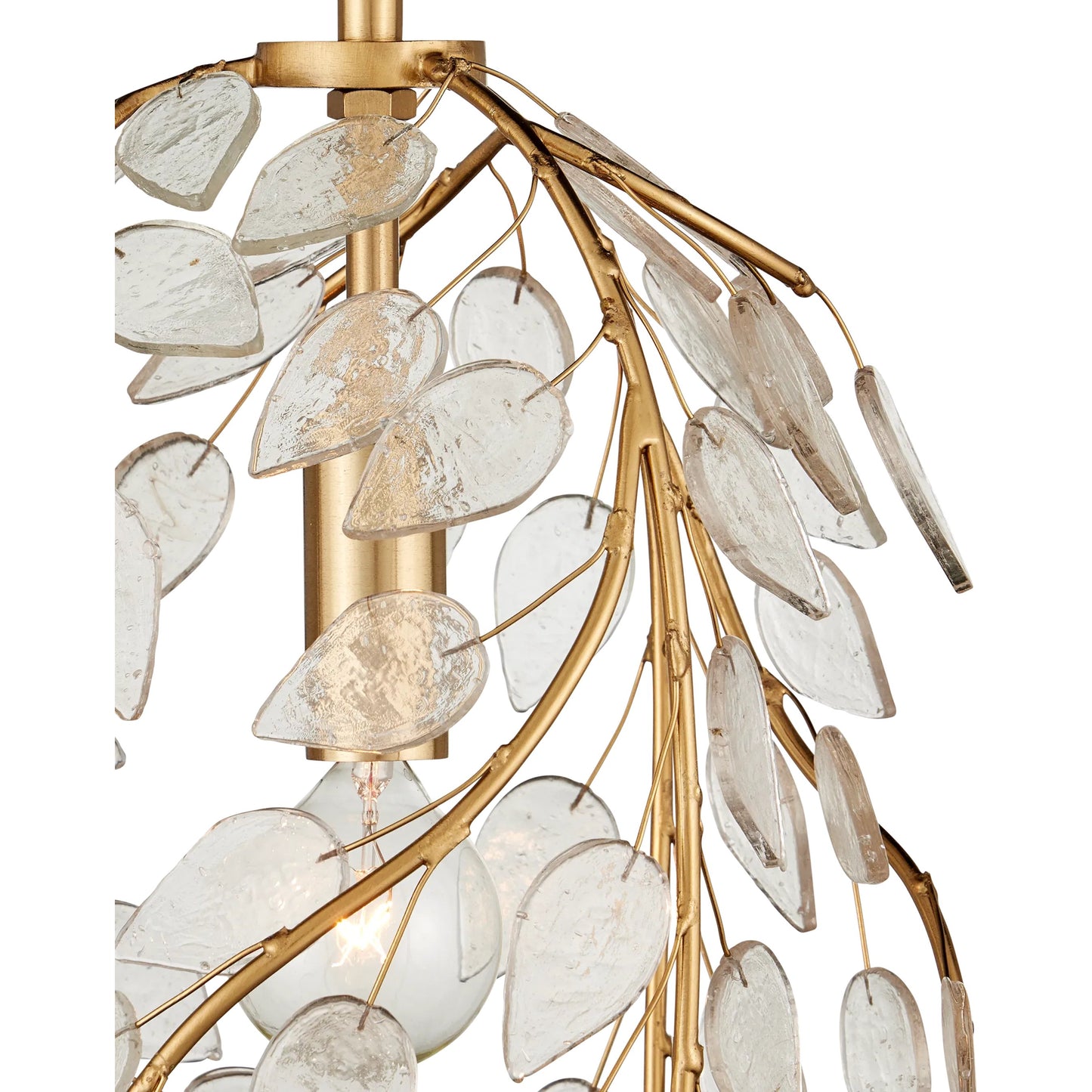 002 SI-2524236 | Closeup | Banyan Pendant by Currey and Company in antique brass, clear. Made from brass, metal, glass in a modern style.
