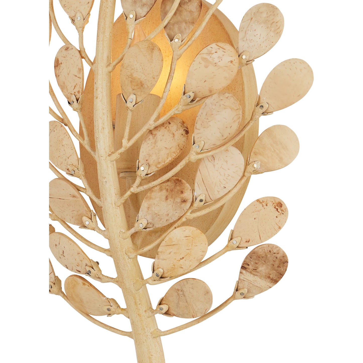 001 SI-2387091 | Closeup | Maypan Wall Sconce by Currey and Company in natural, coco cream. Made from coco shells, wrought iron in a modern style.