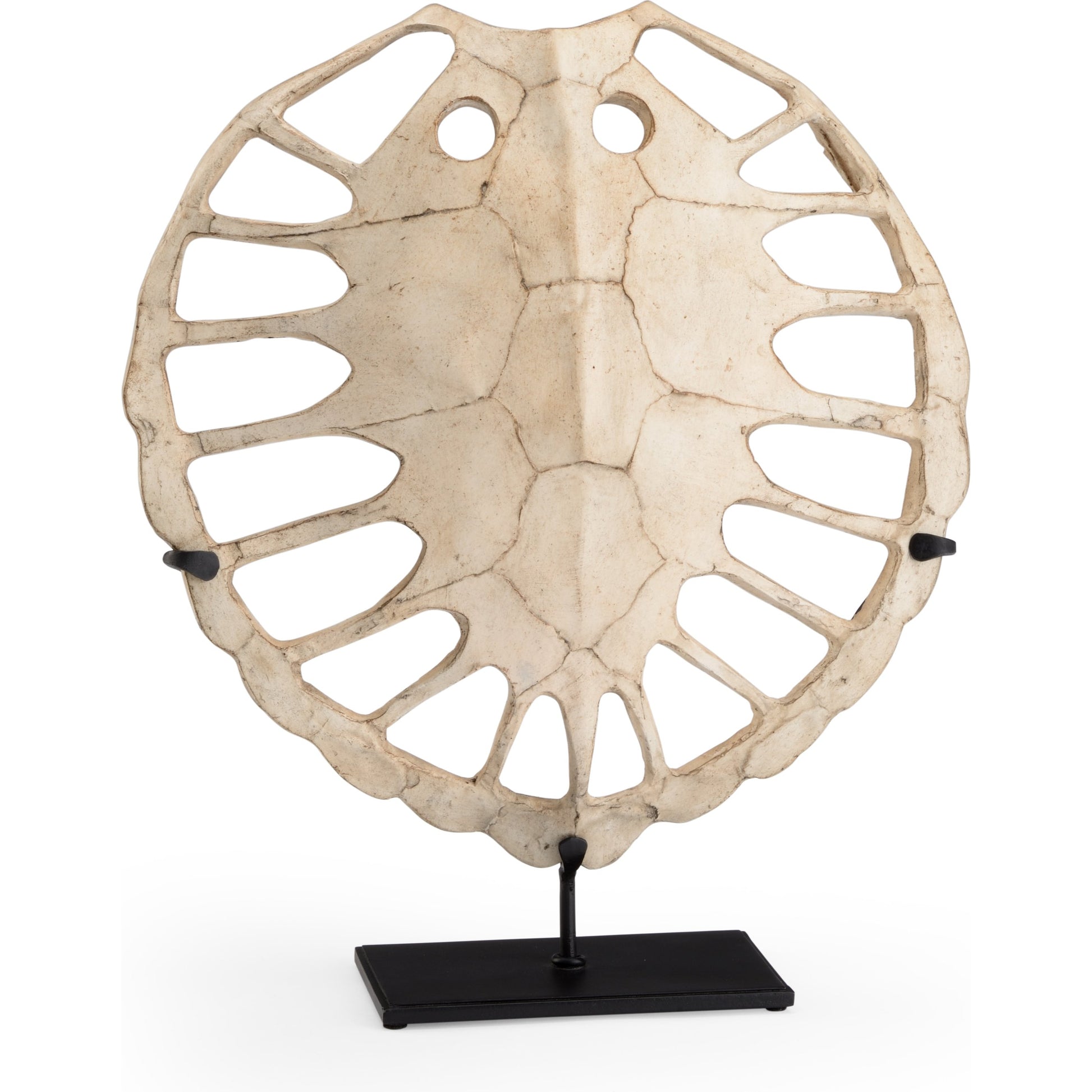 Sulcata Turtle by Wildwood in aged whitewash, black. Made from composite in a eclectic & global style.