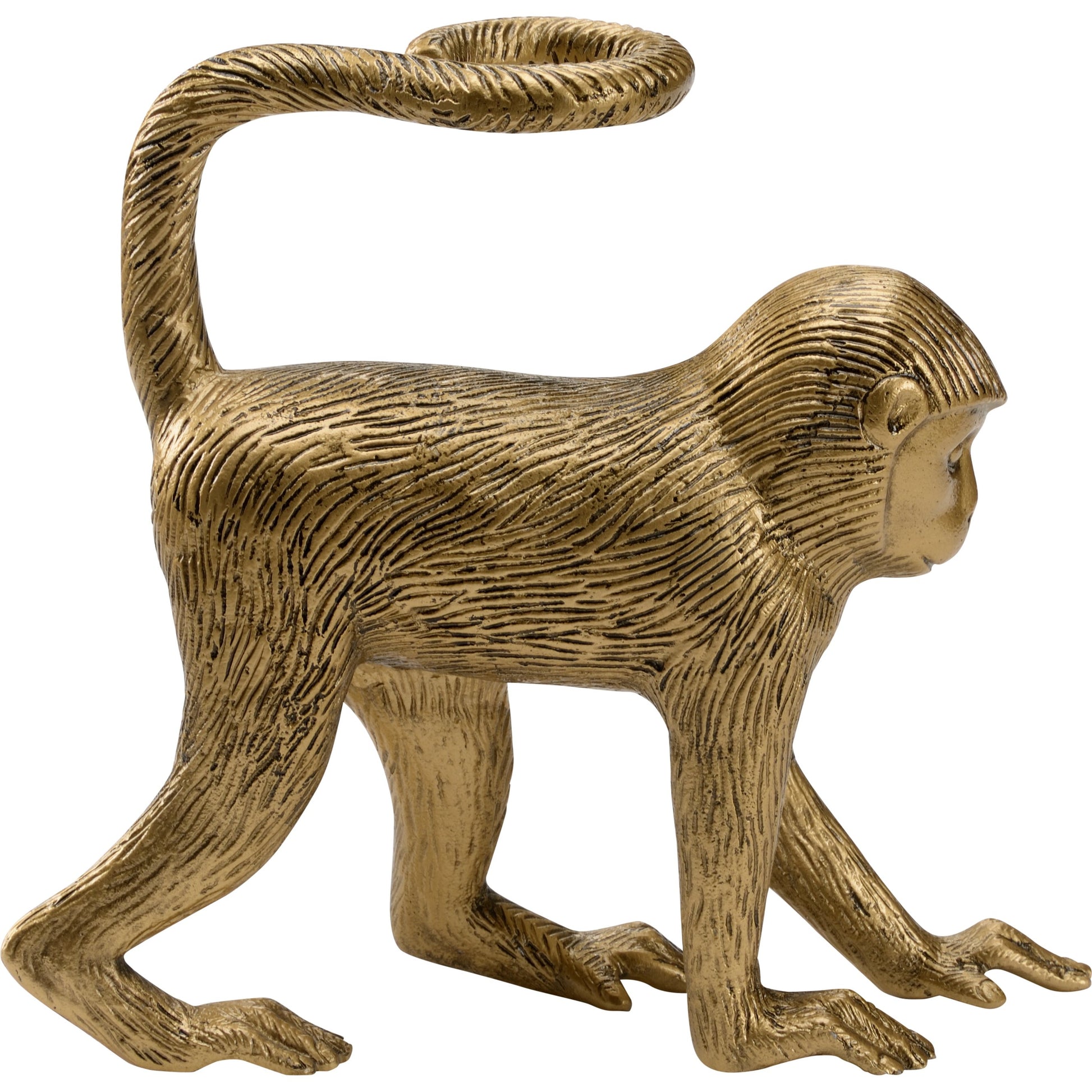 Monkey Business by Wildwood in antique brass. Made from aluminum in a modern style.