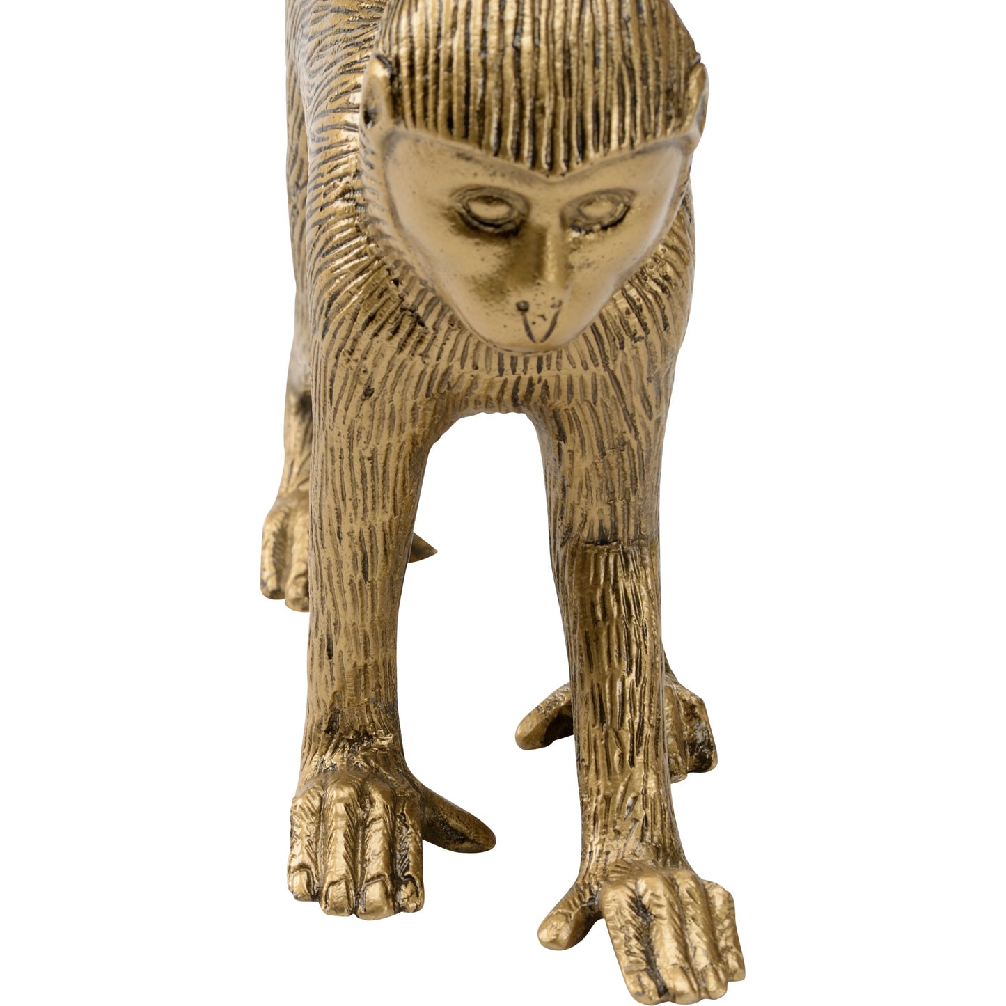 005 SI-2104925 | Closeup | Monkey Business by Wildwood in antique brass. Made from aluminum in a modern style.