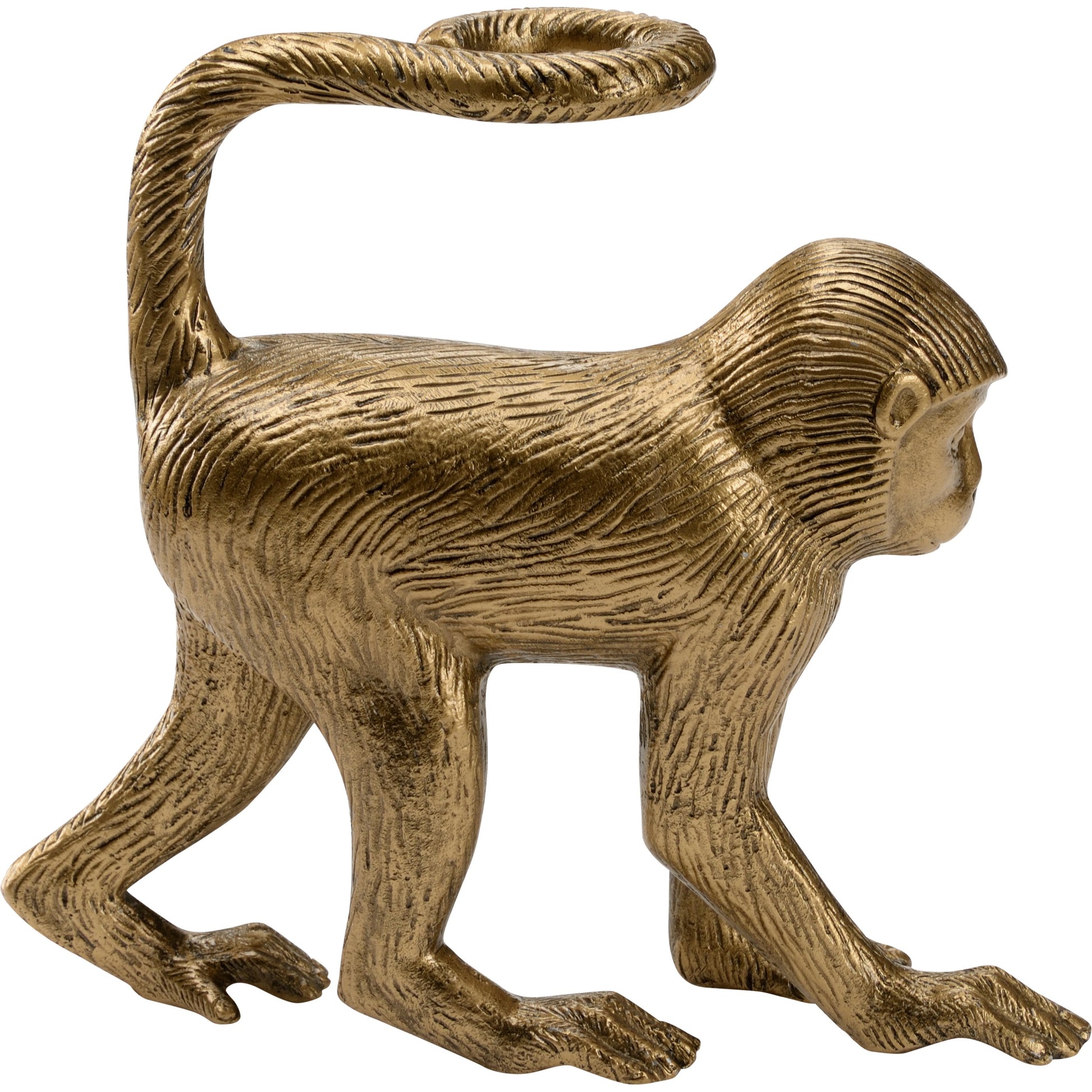 Monkey Business by Wildwood in antique brass. Made from aluminum in a modern style.