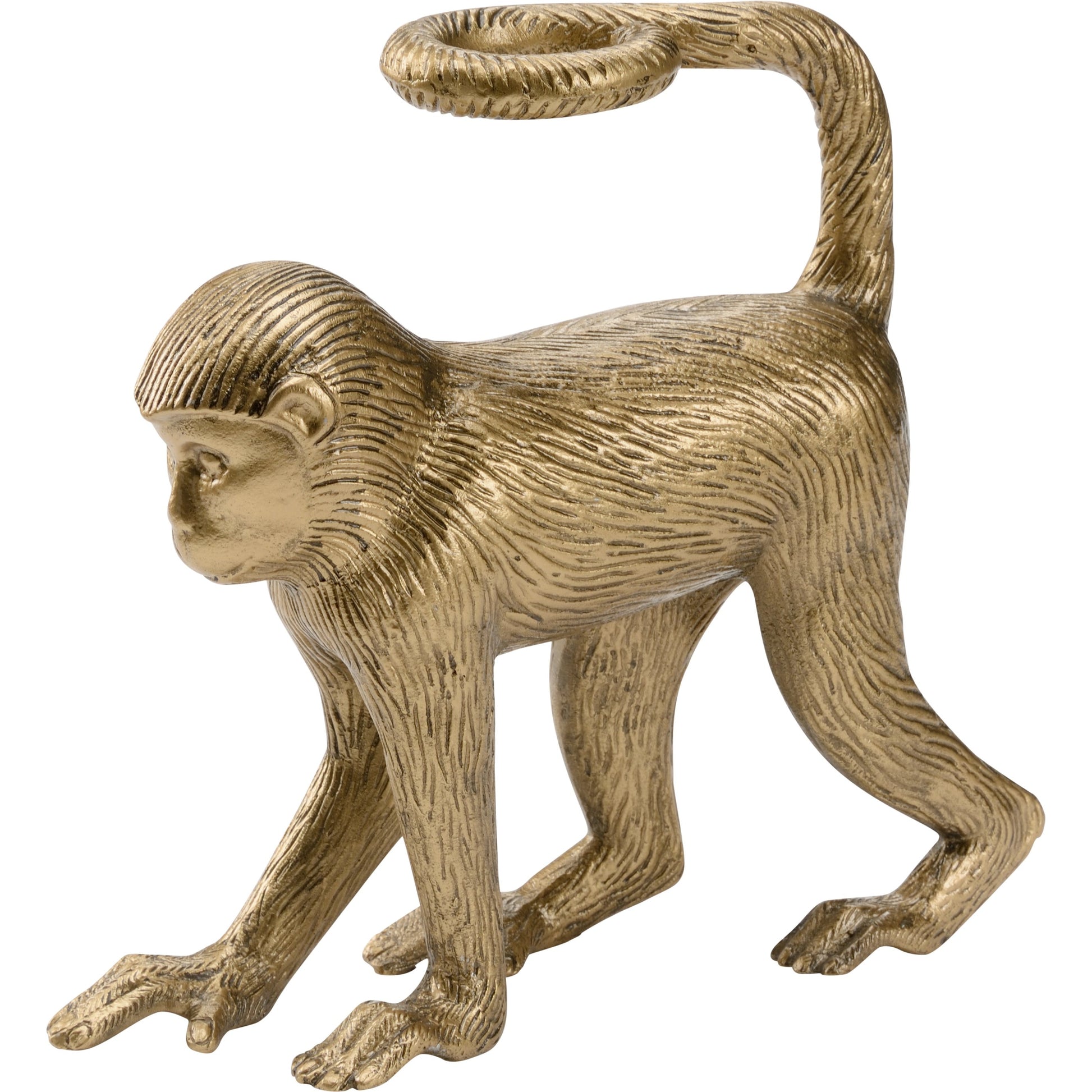 Monkey Business by Wildwood in antique brass. Made from aluminum in a modern style.