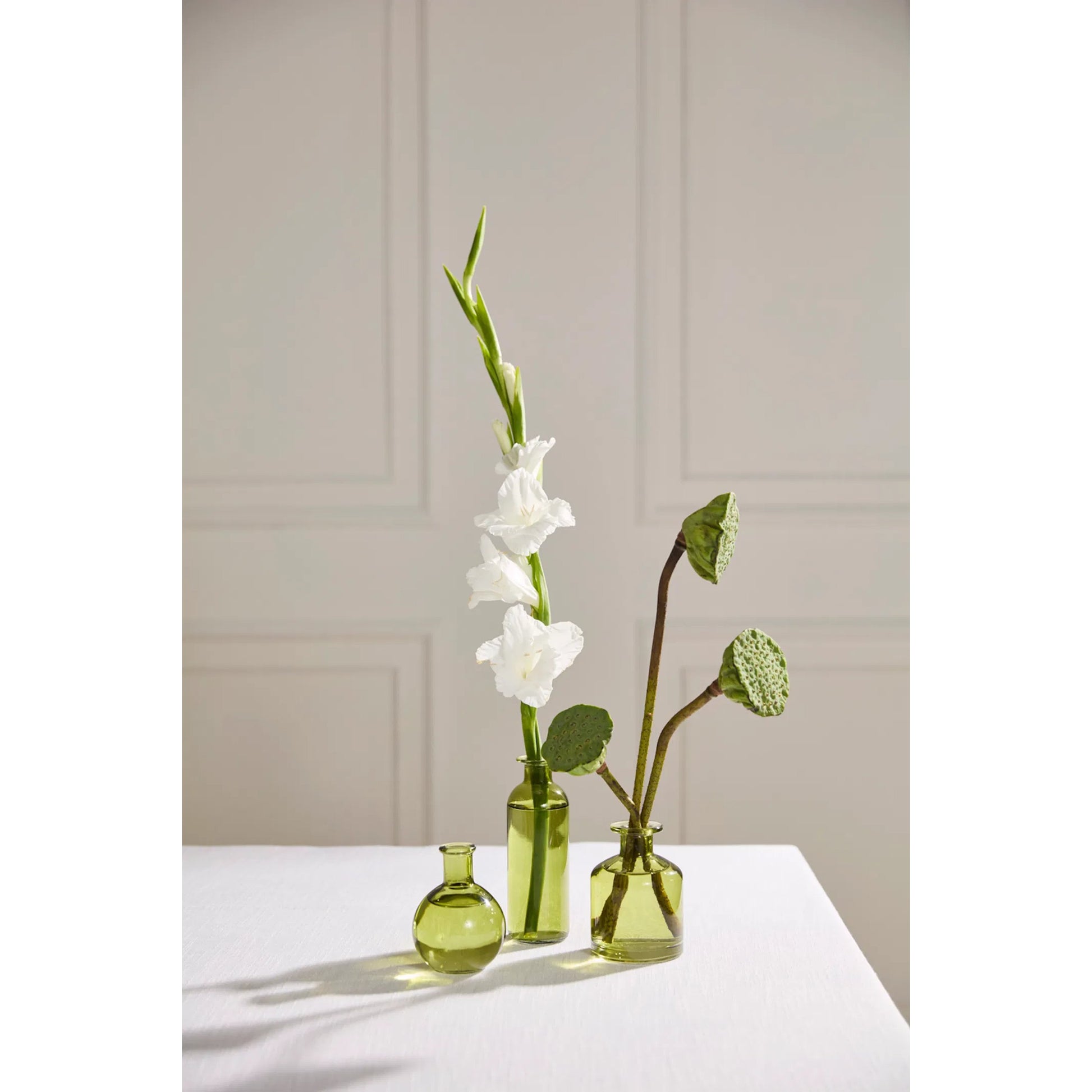 Carlotta Budvase Set 3 (Set of 3) by Accent Decor. Made from glass in a unique style.