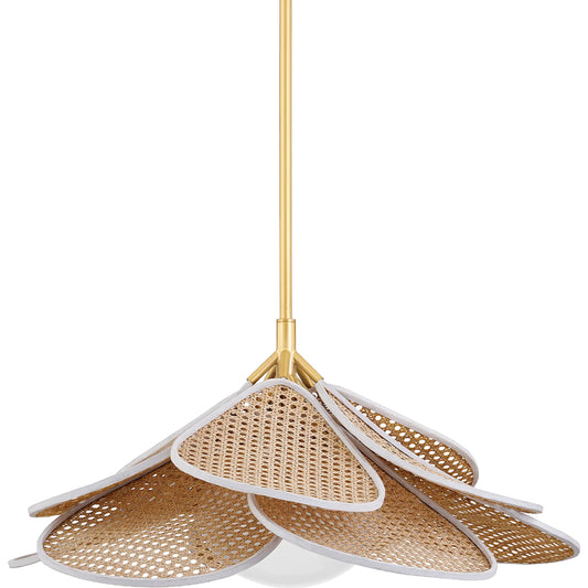 Florina 1 Light Pendant by Hudson Valley in aged brass. Made from steel in a cottage & farmhouse style.