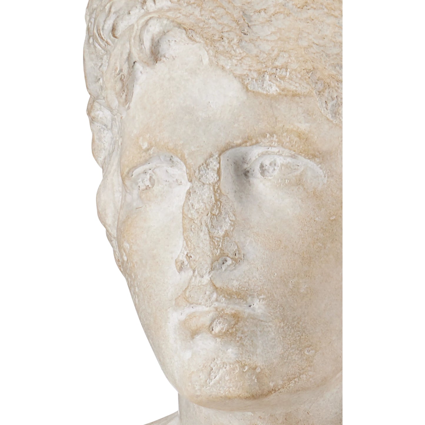 006 SI-2007909 | Closeup | Young Royal Greek Torso by Currey and Company in aged beige, black. Made from composite, metal in a traditional style.