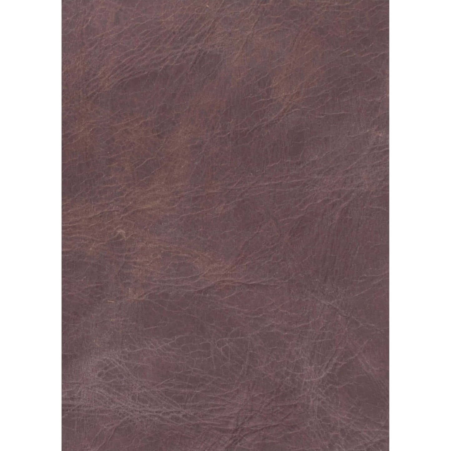 003 S-286868 | Additional Silo | Dylan Bar Stool (Set of 2) by Regina Andrew. Made from leather in a modern style.