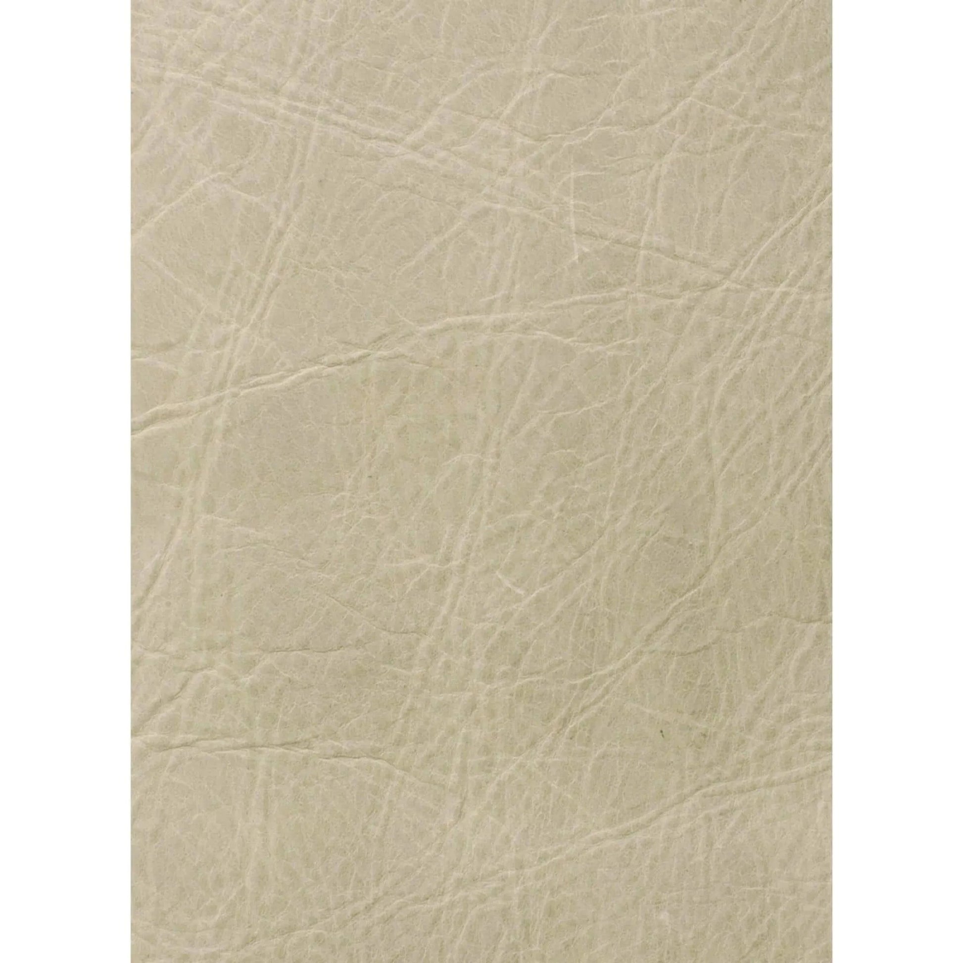 Beretta Leather Bench by Regina Andrew in white, natural and cappuccino. Made from leather in a modern style.