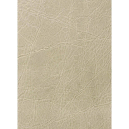 Beretta Leather Bench by Regina Andrew in white, natural and cappuccino. Made from leather in a modern style.