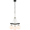 Black/Polished Nickel / 3