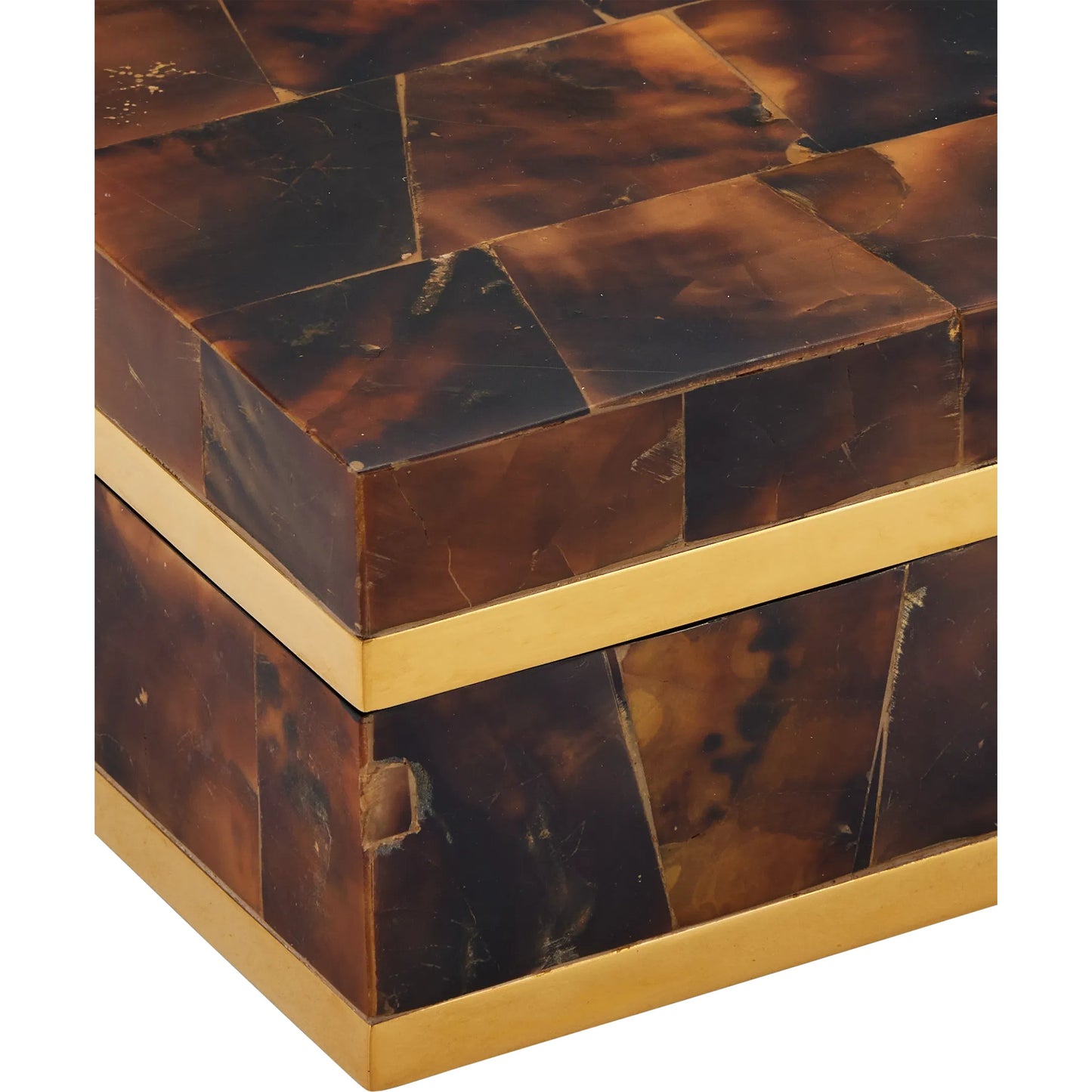 003 SI-2257237 | Closeup | Casey Brown Box by Currey and Company in natural, brass, black. Made from pen shell, stainless steel, engineered wood in a eclectic & global style.