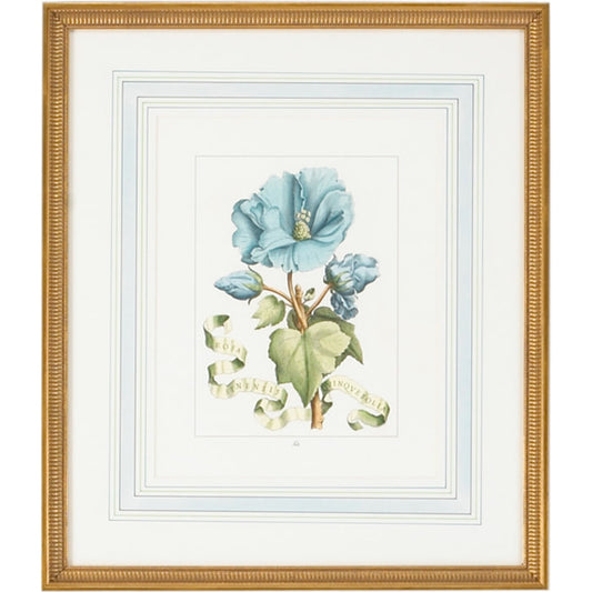 Bl Floral W/Ribbon-A by Chelsea House in gold frame with french mat. Made from hand colored engraving, italy in a traditional style.