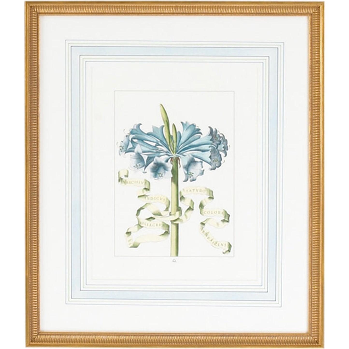 001 SR-382035 | Primary Silo | Bl Floral W/Ribbon-D by Chelsea House in gold frame, french mat. Made from hand colored engraving, italy in a traditional style.