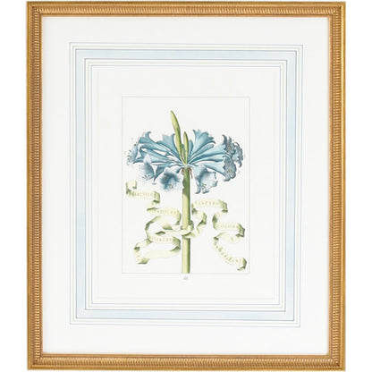 Bl Floral W/Ribbon-D by Chelsea House in gold frame, french mat. Made from hand colored engraving, italy in a traditional style.