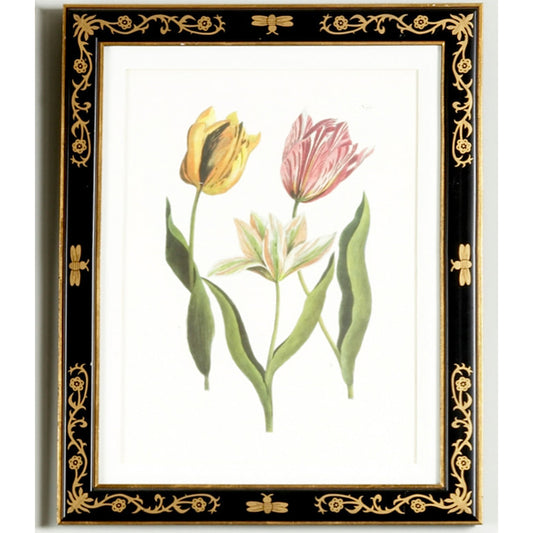 TULIP/DEC.FRAME(991) by Chelsea House in black frame with gold decoration. Made from lithograph print in a traditional style.