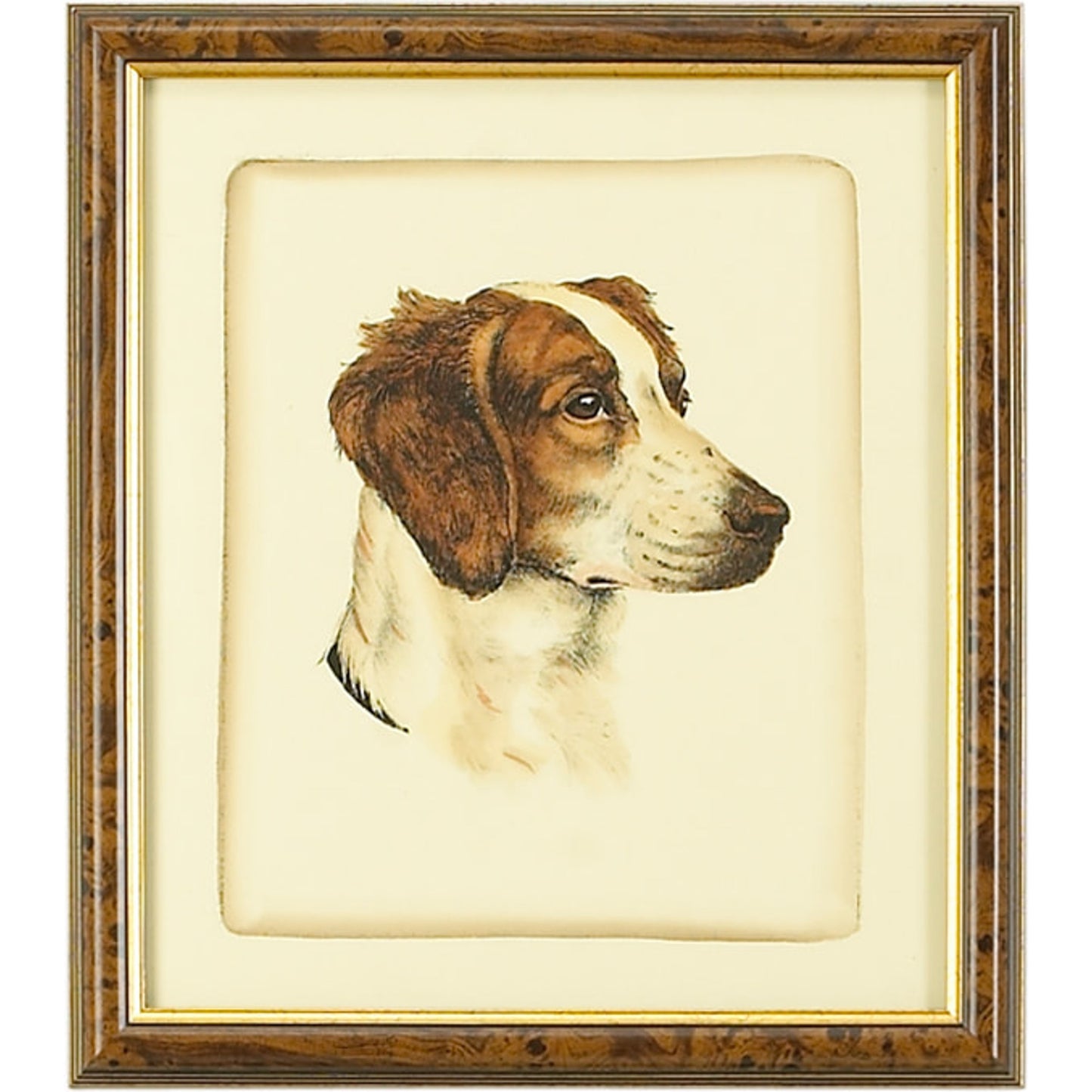 001 SR-382453 | Primary Silo | Danchin Brittany Spaniel by Chelsea House in brown and gold frame. Made from hand colored print in a cottage & farmhouse style.