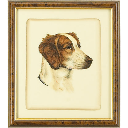 Danchin Brittany Spaniel by Chelsea House in brown and gold frame. Made from hand colored print in a cottage & farmhouse style.