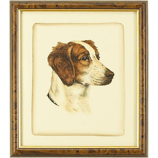 Danchin Brittany Spaniel by Chelsea House in brown, gold frame. Made from hand colored print in a cottage & farmhouse style.