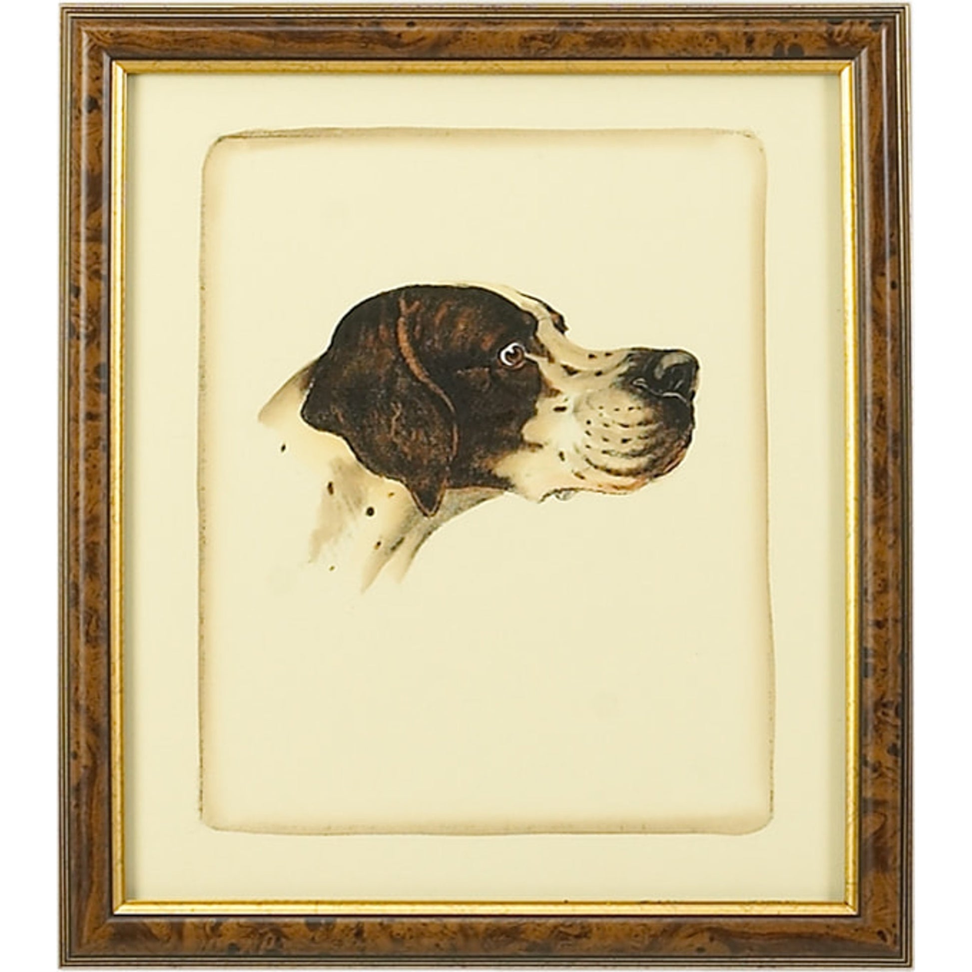 Danchin Pointer by Chelsea House in brown and gold frame. Made from hand colored print in a cottage & farmhouse style.