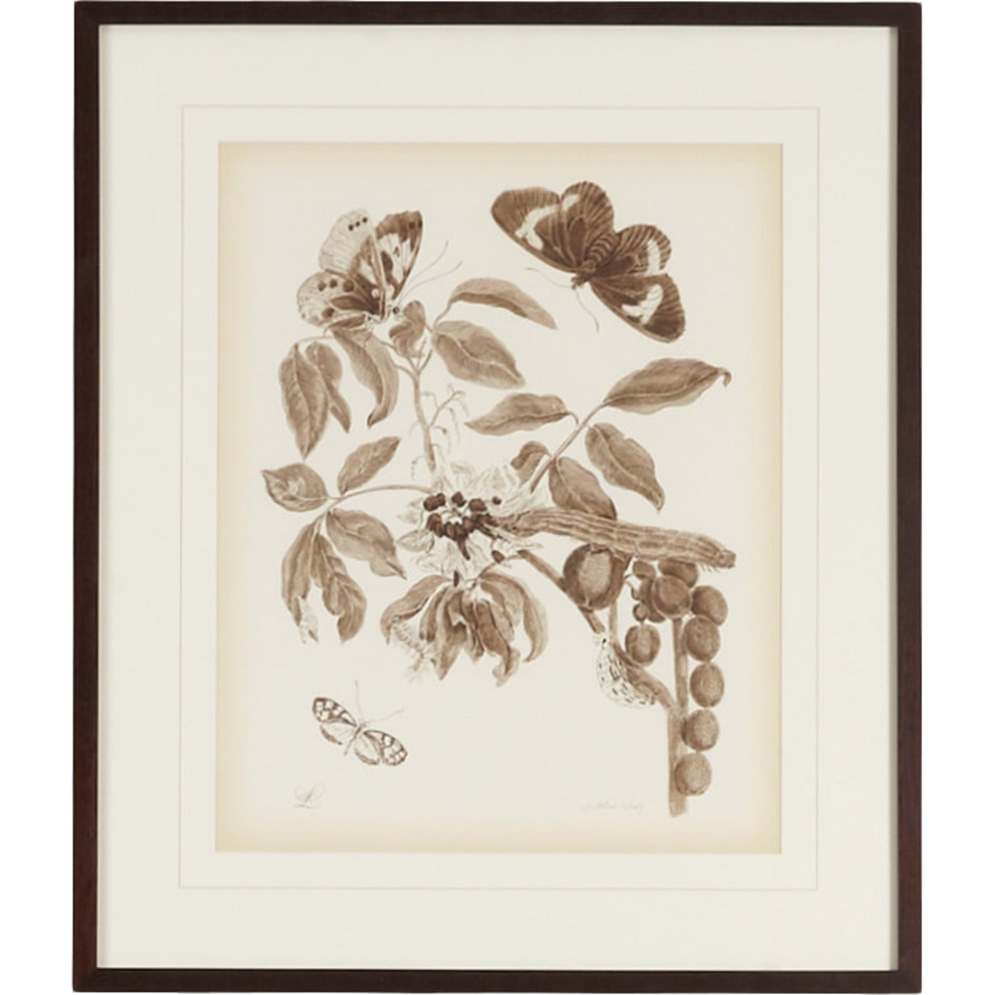 Nature Study/Sepiaii by Chelsea House in bronze frame with v-groove mat. Made from lithograph print in a transitional style.