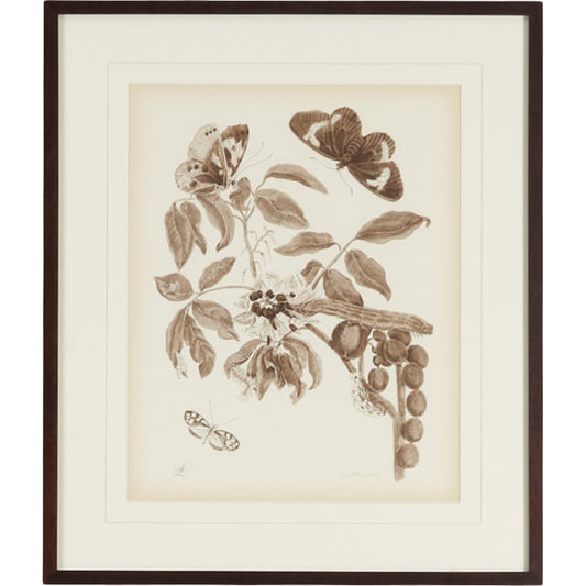 Nature Study/Sepiaii by Chelsea House in bronze frame with v-groove mat. Made from lithograph print in a transitional style.