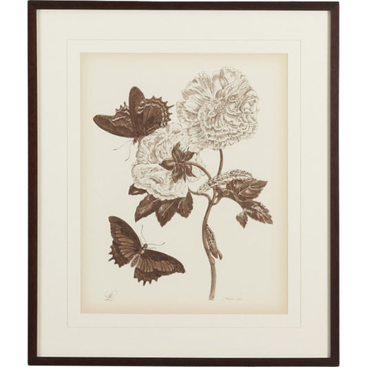 Nature Study/Sepiaiv by Chelsea House in bronze frame with v-groove mat. Made from lithograph print in a transitional style.