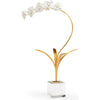 Antique Gold Leaf, Matte White, Clear