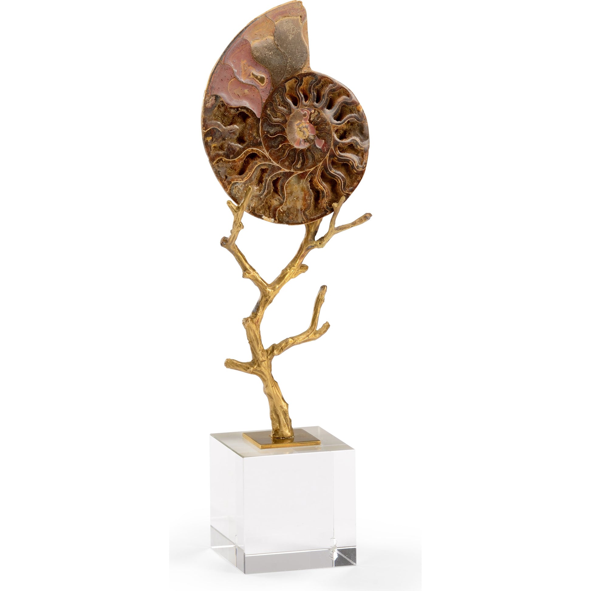 Ammonoidea by Chelsea House in natural, antique gold leaf, clear. Made from fossil in a coastal style.