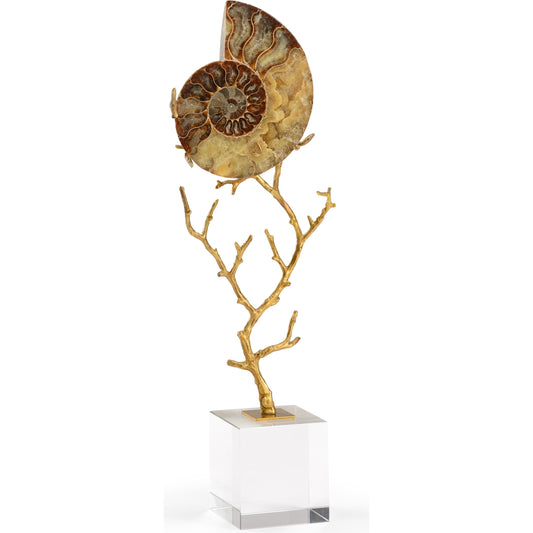 Ammonoidea by Chelsea House in gold. Made from fossil in a coastal style.
