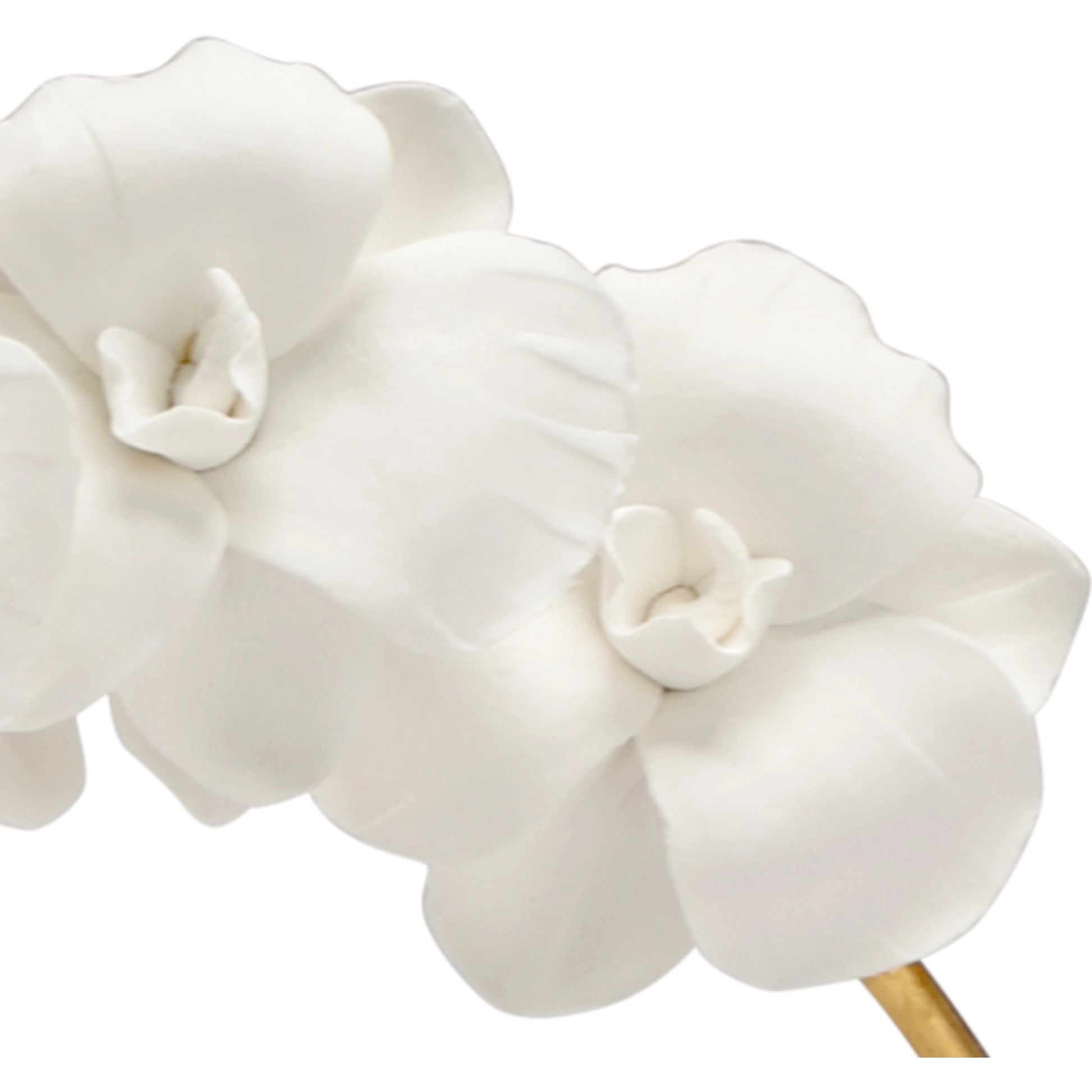 Orchid in Stand by Chelsea House. Made from unique in a coastal style.