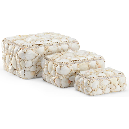Shell Boxes by Chelsea House. Made from unique in a coastal style.