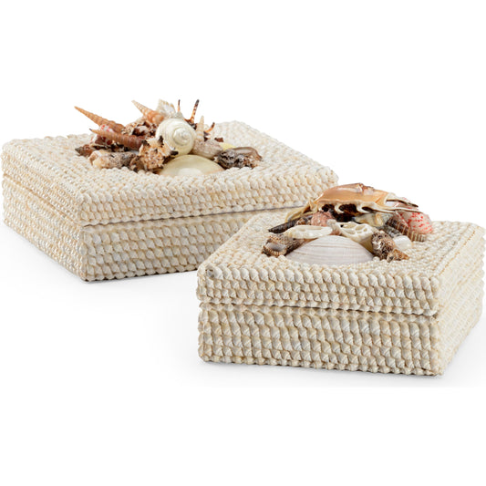 Shell Boxes by Chelsea House. Made from unique in a coastal style.