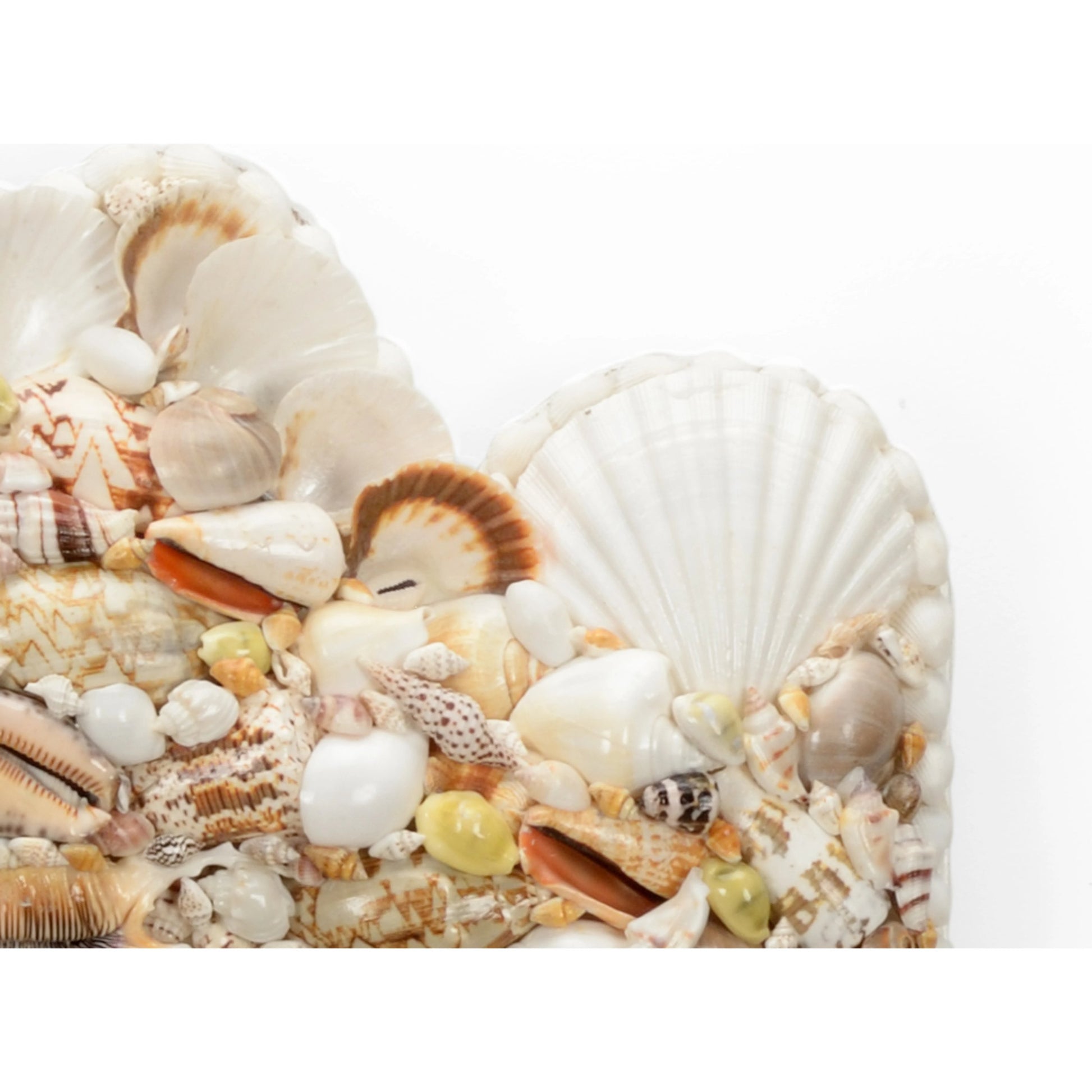 Shell Square Mirror by Chelsea House in natural, clear. Made from shells, mirror in a coastal style.