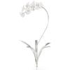 Matte White, Antique Silver Leaf / Medium
