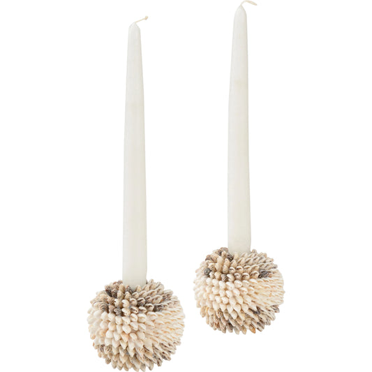 Nassa Shell Candleholder (Set of 2) by Chelsea House in natural. Made from nassa shells in a modern style.