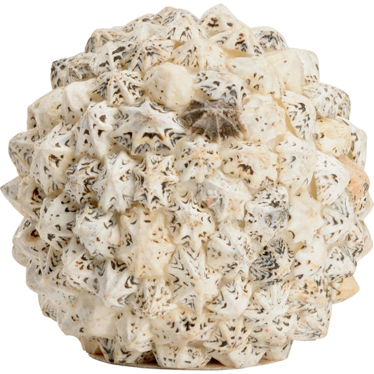 Shell Ball by Chelsea House in white, black. Made from sacharine shells in a modern style.