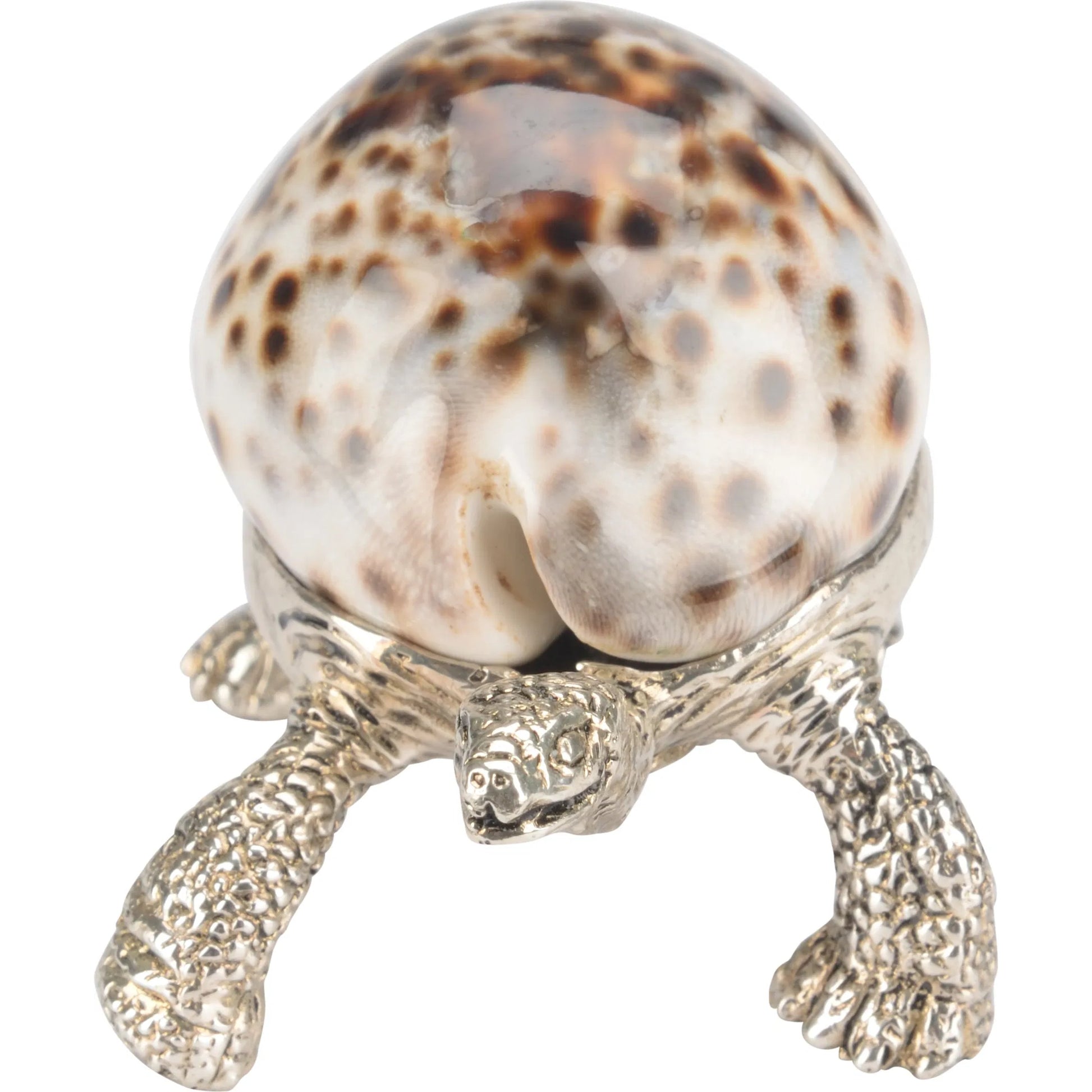 Turtle Paperweight by Chelsea House in silver plated, tiger cowrie. Made from unique in a unique style.