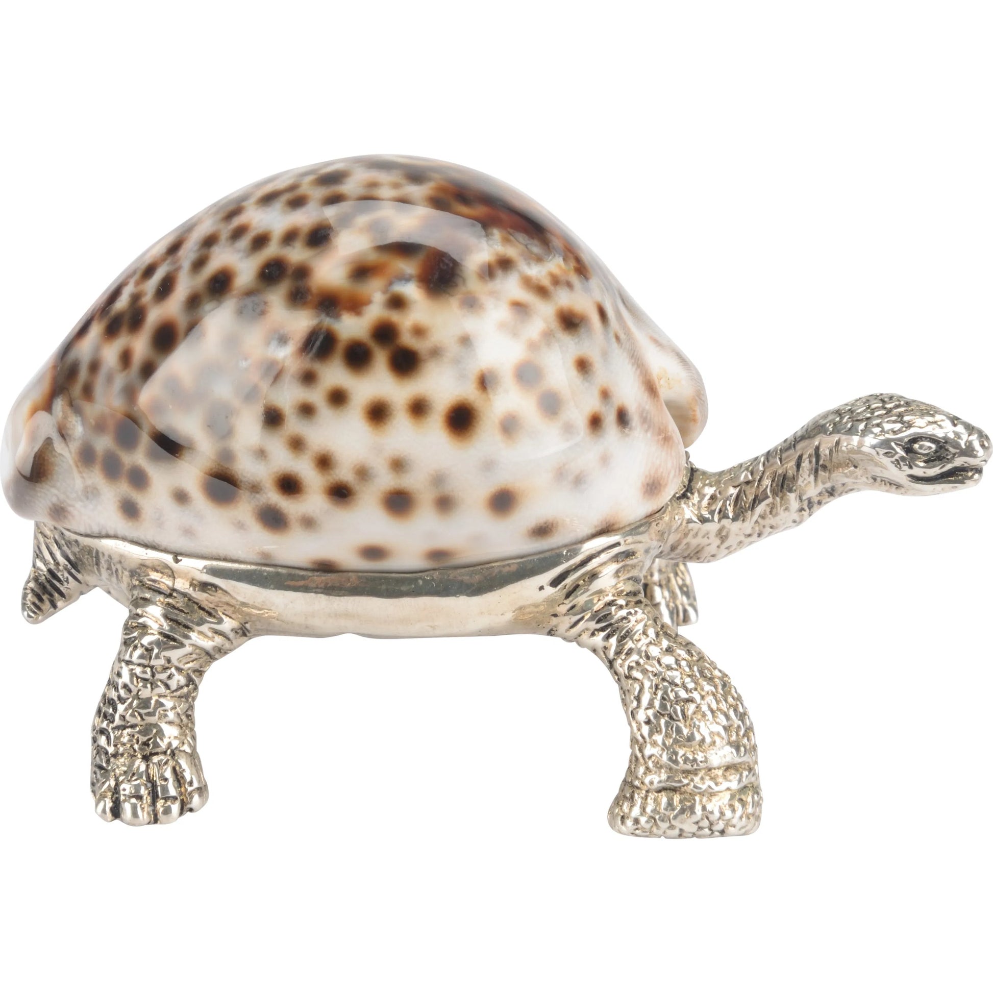 Turtle Paperweight by Chelsea House in silver plated, tiger cowrie. Made from unique in a unique style.