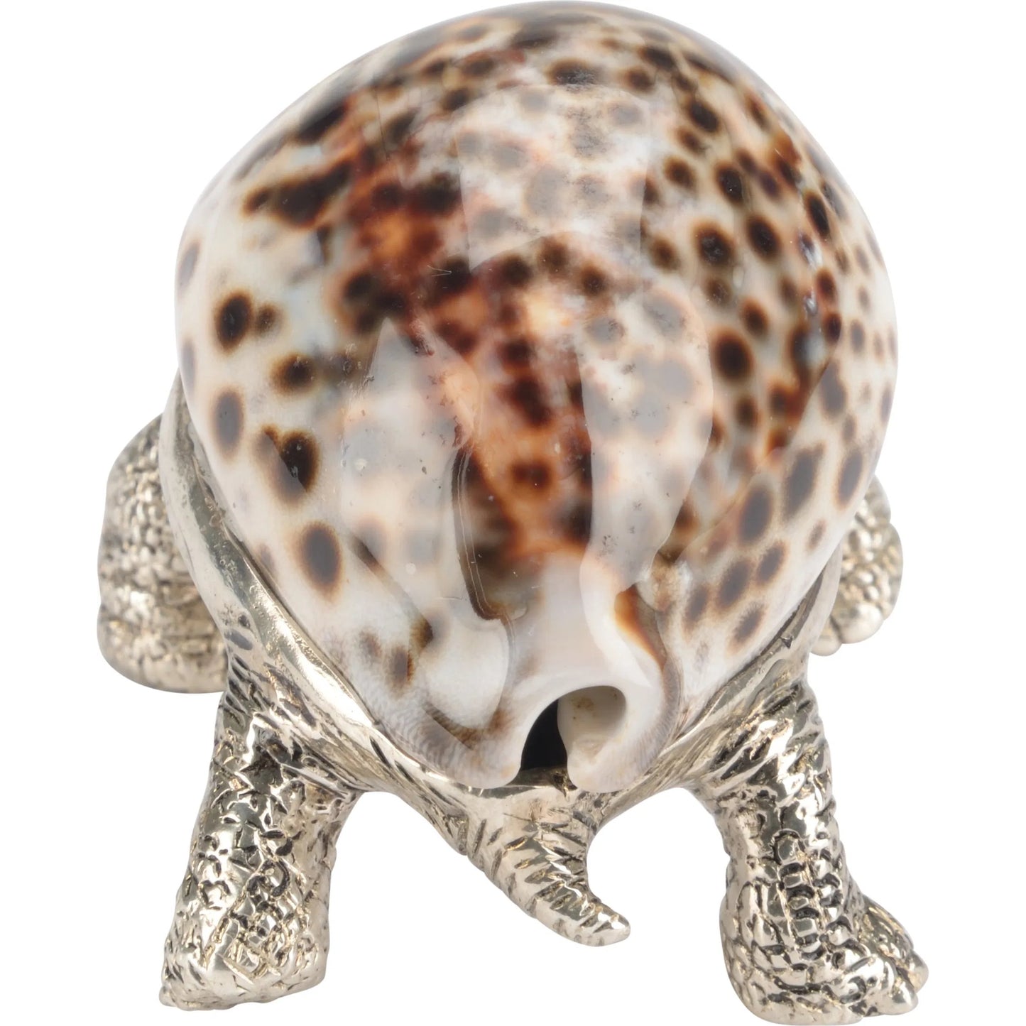 003 SI-2105905 | Additional Silo | Turtle Paperweight by Chelsea House in silver plated, tiger cowrie. Made from unique in a unique style.