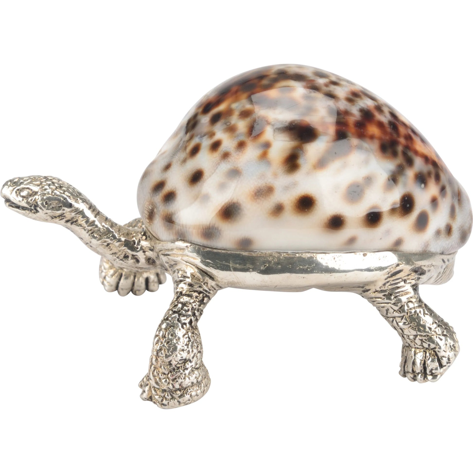 Turtle Paperweight by Chelsea House in silver plated, tiger cowrie. Made from unique in a unique style.