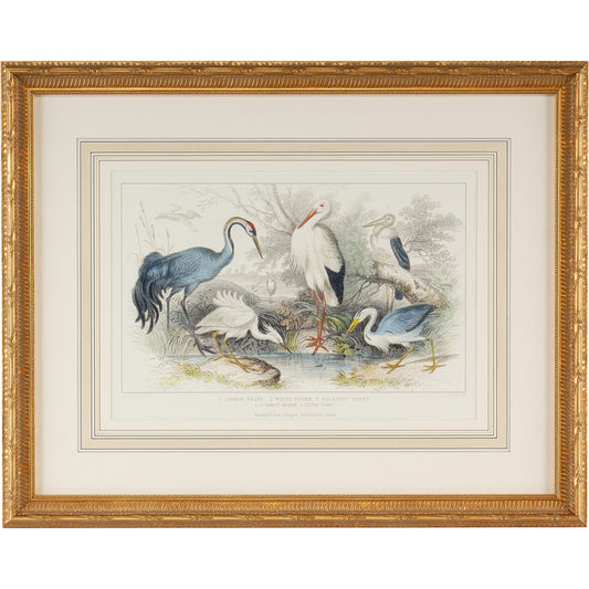Herons,Egrets & Cranes by Chelsea House in painted wood frame. Made from print on wood frame in a coastal style.
