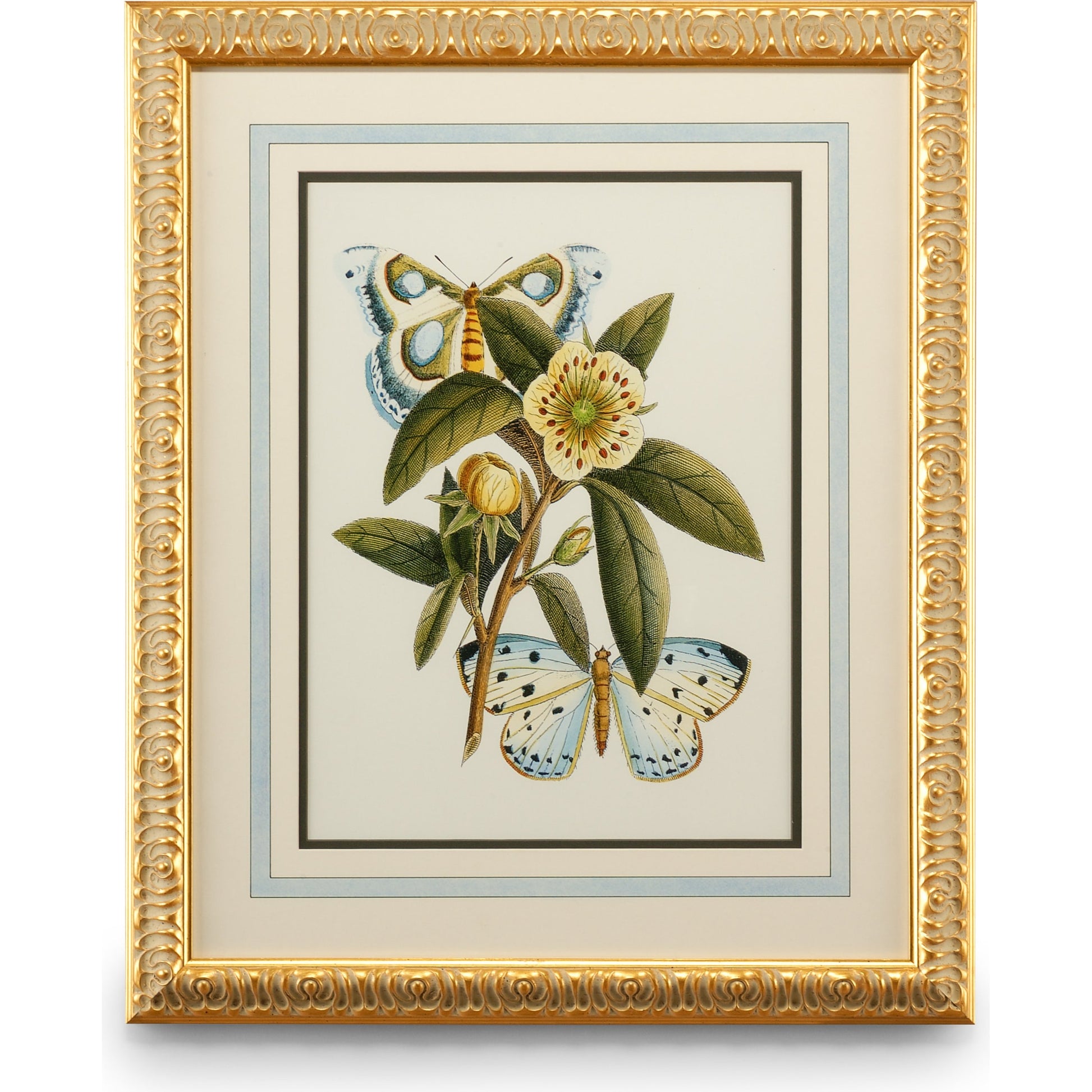 Butterfly Oasis I by Chelsea House in gold leafed frame, french mat. Made from plate lithograph in a traditional style.