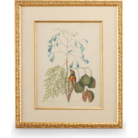 Catesby Bird & Botanical II by Chelsea House in gold leaf frame, linen mat, fillet. Made from unique in a traditional style.