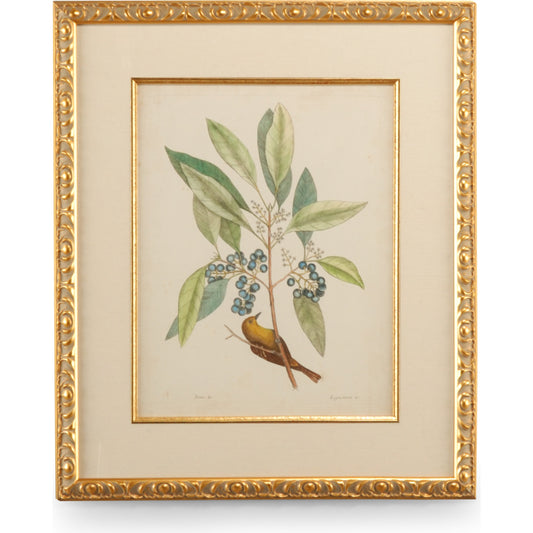 Catesby Bird & Botanical V by Chelsea House in gold leaf frame - linen mat fillet. Made from unique in a traditional style.