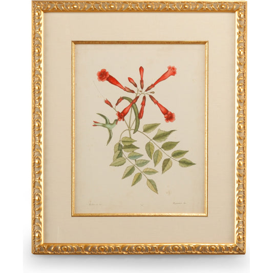 Catesby Bird & Botanical VI by Chelsea House in gold leaf frame - linen mat fillet. Made from unique in a traditional style.