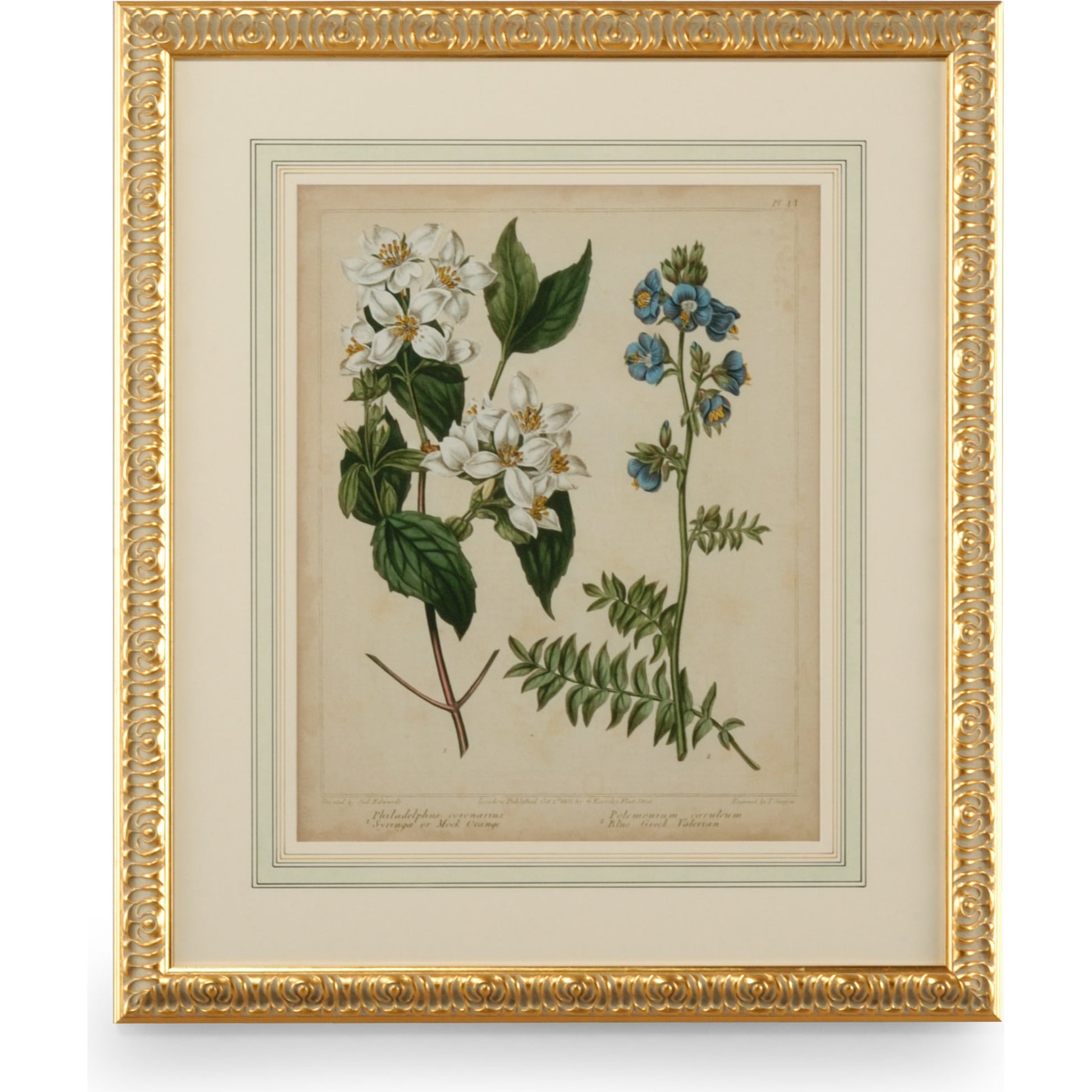 Cottage Florals I by Chelsea House in gold leaf wood frame, french mat. Made from unique in a traditional style.
